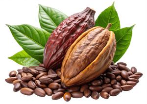 Cacao