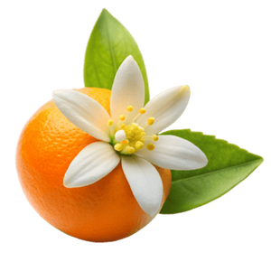 Orange Blossom
