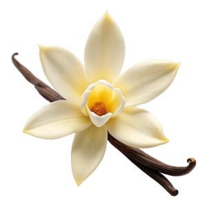 Vanilla